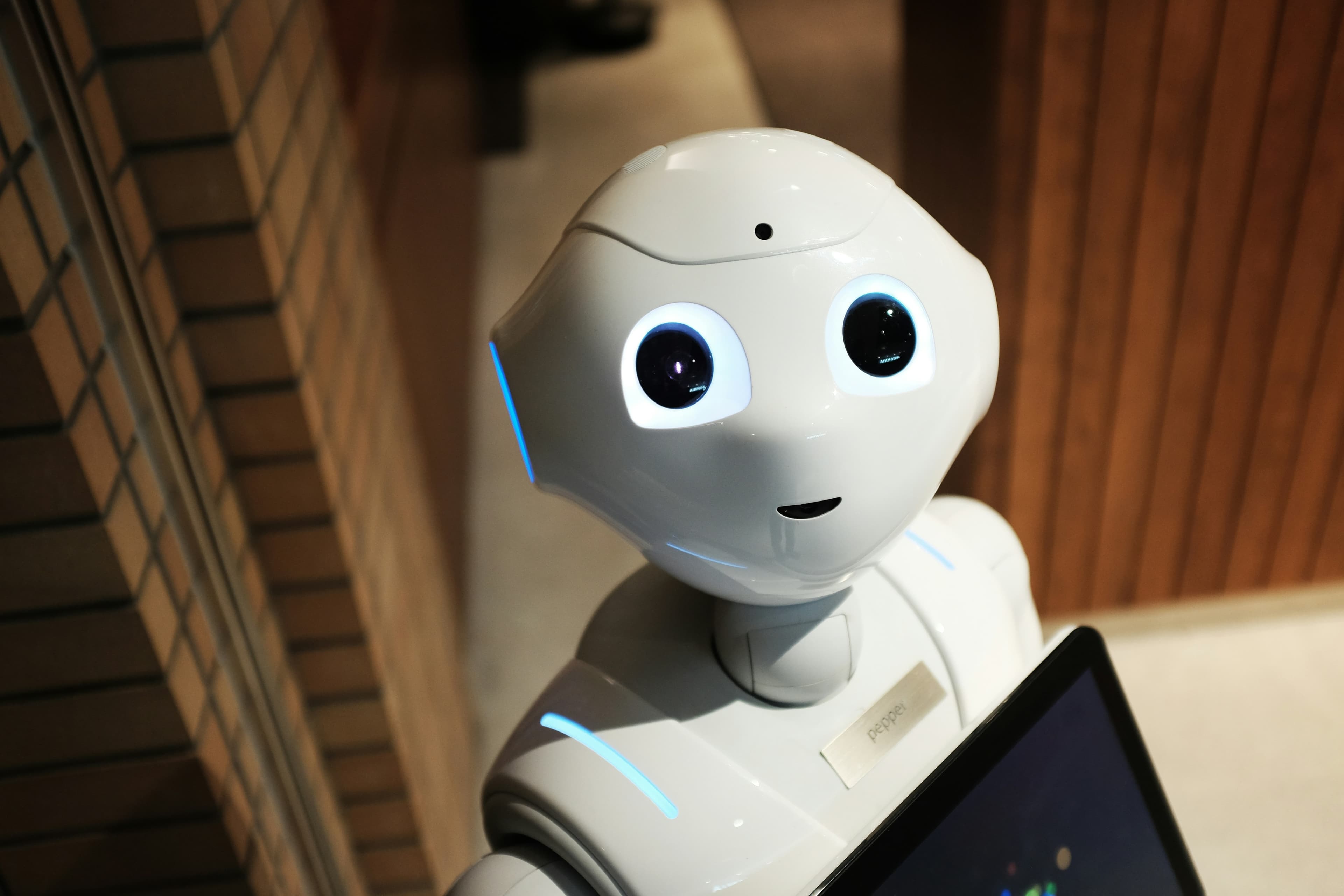 AI Customer Support